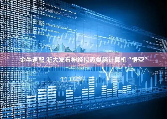 金牛速配 浙大发布神经拟态类脑计算机“悟空”