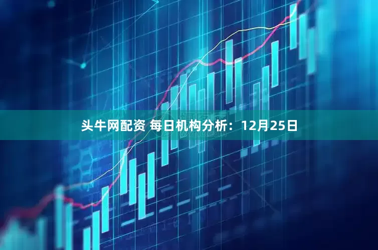 头牛网配资 每日机构分析：12月25日